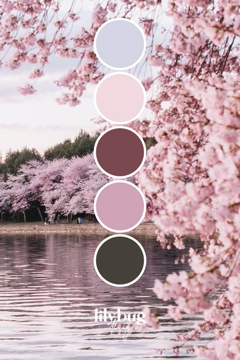 Sakura Colour Palette, Cherry Blossom Wedding Color Palette, Cherry Blossom Graphic Design, Free Color Palettes, Sakura Color Palette, Cherry Blossom Color Palette, Sakura Bedroom, Lilybug Design, All Color Palette