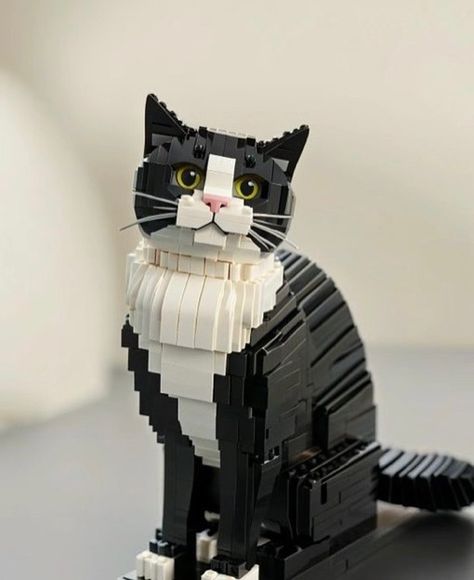 cat lego!!!! . . . credit: unknown (We do not claim ownership of this video, all rights are reserved and belong to their respective owners, no copyright infringement intended. Please DM us for credit/removal) tags: #cursedcats #cursedcat #animalmemes #sadcats #catlife #catfeatures #catloversclub #catmemes #cat #cattos #catsofinstagram #catmeme #cattomemes #wholesome #catvideo #chonk #cats #memes #cats_of_instagram #sadcat #softcatmemes #wholesomememes #funnycat #funnycatmeme #politecat #fu... Cat Lego, Cats Memes, Wholesome Memes, Copyright Infringement, Cat Gif, Animal Memes, Cat Life, Cat Memes, Cats Of Instagram