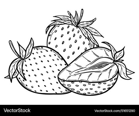 Botanical Outline, Book Page Background, Strawberry Pictures, Sketch Line Art, Pineapple Drawing, Pattern Packaging, Monochrome Drawing, Fruit Coloring, Bat Coloring Pages