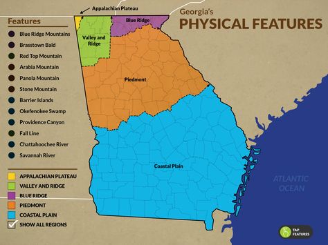 If bigger is better, then this is our best virtual field trip yet! Complimenting our Regions virtual field trip, the Physical Features of Georgia trip is now available. Regions Of Georgia, Georgia Regions 2nd Grade Project, Georgia Regions Project, Georgia Regions 2nd Grade, Georgia Habitats, Social Studies Maps, Habitat Project, Georgia Regions, Georgia Trip