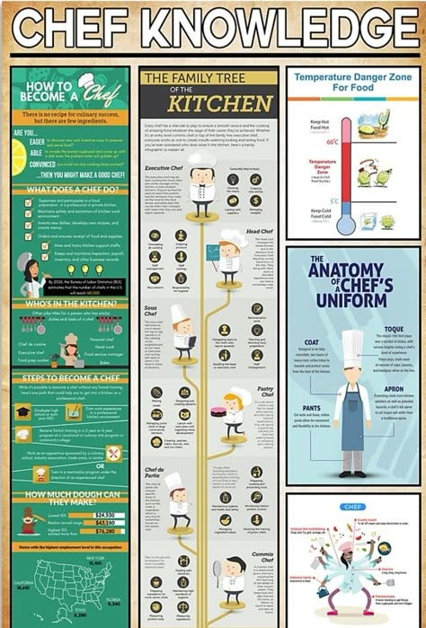 Chef Knowledge, Culinary Knowledge, Food Safety Posters, Food Safety And Sanitation, Culinary Basics, Food Safety Training, Culinary Lessons, Starting A Restaurant, Food Safety Tips