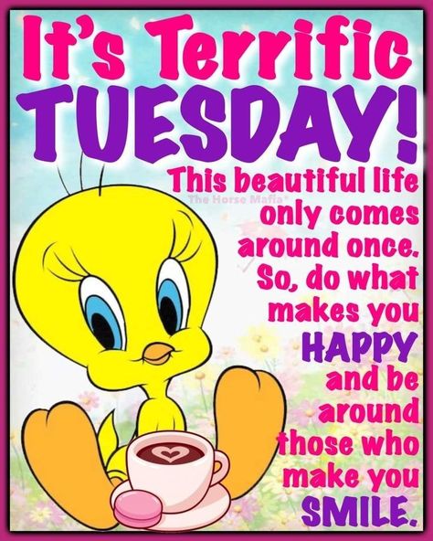 Tuesday Quotes Funny, Wonderful Day Quotes, Happy Tuesday Images, Weekly Blessings, Good Morning Tuesday Images, Good Morning Prayer Quotes, Happy Tuesday Morning, Tuesday Quotes Good Morning, Morning Tuesday