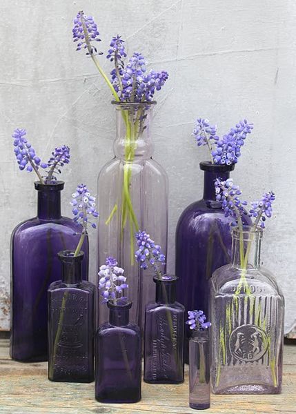 Deco Violet, Vases With Flowers, Purple Bottle, Purple Stuff, Everything Purple, I Love Purple, Royal Colors, Lovely Lavender, The Color Purple