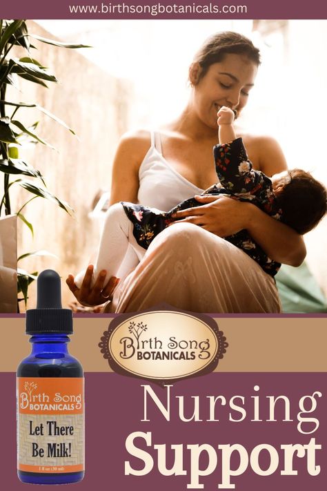 Breastfeeding moms love Birth Song Botanicals Let There Be Milk!  ​ ​Our Herbal Breastfeeding Tincture To Support Breast Milk Supply For Lactating and Pumping Moms as supported thousands of women for more than 20 years. ​ ​🤱🏽 NATURALLY SUPPORT BREASTMILK SUPPLY  ​🤱🏽 CONCENTRATED STRENGTH HERBAL EXTRACT ​🤱🏽 SUPPORT PUMPING PRODUCTION ​ ​Try it for yourself and let your love and your milk flow ​ ​#lactation #pumpingmom #breastmilk #breastfeeding ​ Herbs For Pregnancy, Breastfeeding Supplements, Increase Breastmilk Supply, Pregnancy Tea, Breastfeeding Art, Breastfeeding Snacks, Increase Breastmilk, Birth Art, Breast Milk Supply