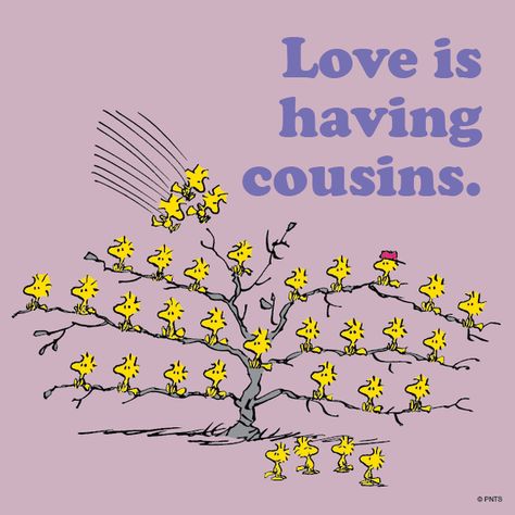 woodstack Peanuts cousins | PEANUTS on Twitter: "Love is having cousins. http://t.co/nHyiG3PWGn" Happy Birthday Cousin, Best Cousin, Cousin Quotes, Birthday Quotes For Him, Cousin Love, The Peanuts, Snoopy Love, Peanuts Gang, Love Is