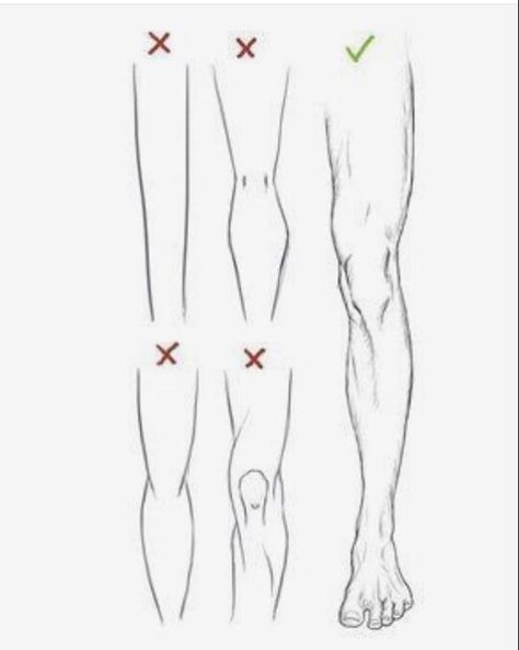 Leg Reference, Leg Anatomy, Drawing Legs, Anatomy Tutorial, Body Sketches, Human Drawing, Body Reference Drawing, Sketches Tutorial, Poses References