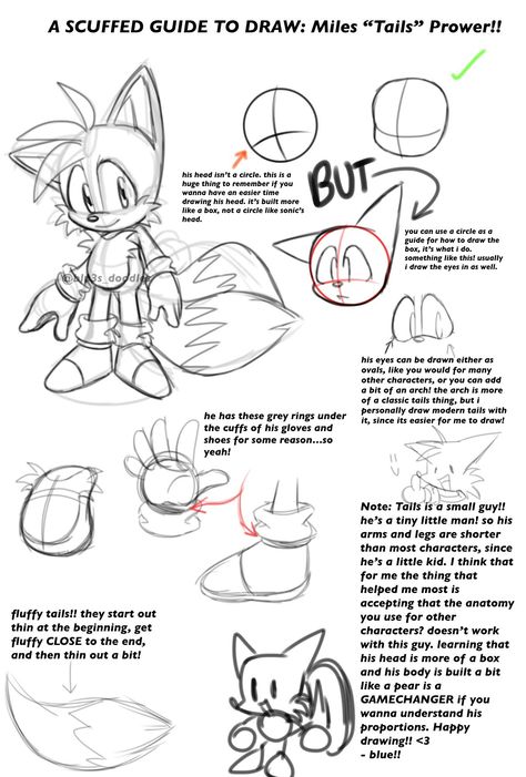 Mobian Anatomy, Sonic Tutorial, Sonic Bases, Sonic Reference, Draw Sonic, Drawing Hacks, Sonic And Tails, How To Draw Sonic, Sonic Underground