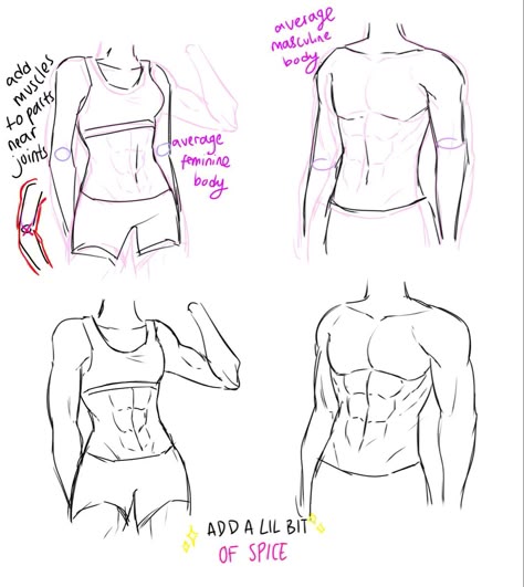 Torso Up Poses Drawing, How To Draw Female Chest, Torso Drawing Practice, Female Torso Drawing Tutorials, Drawing Female Torso Tutorial, Back Turned Pose, Anime Torso Tutorial, Werewolf Drawing, Figure Drawing Tutorial