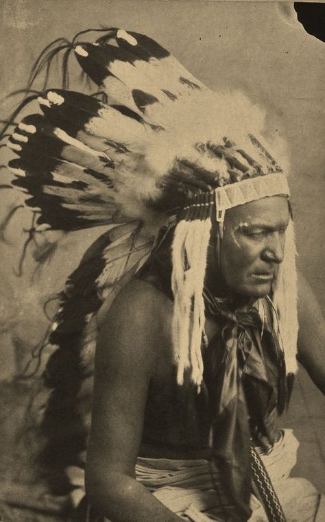 Kobay (aka Wild Horse) - Comanche - circa 1890|ϰλϚϮՀί๔ϵήฬ�ϕɭʃ Chief Sitting Bull, American History Photos, Sitting Bull, American Photo, Native American Pictures, Native American Photos, Native American Peoples, Indian Chief, Native American Tribes