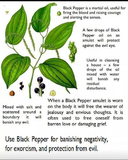 Black Pepper magic Black Pepper Magic, Black Pepper Witchcraft, Black Pepper Magical Properties, Esoteric Spirituality, Black Pepper Plant, Magick Herbs, Black Pepper Oil, Pepper Plant, Witch Herbs