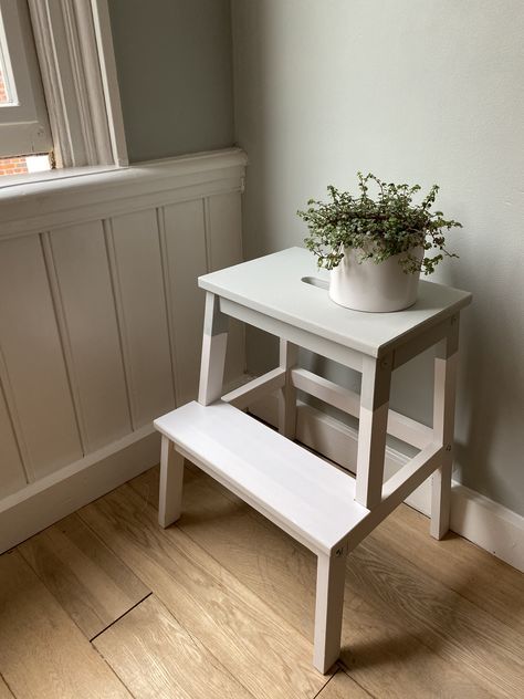 Bathroom step stool