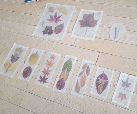 Pressed Flower Art Diy, Wax Paper Crafts, Pounded Flowers, Paper Origami Flowers, Preserve Flowers, Drying Flowers, Leaf Bookmark, Leaf Projects, Fun Fall Crafts