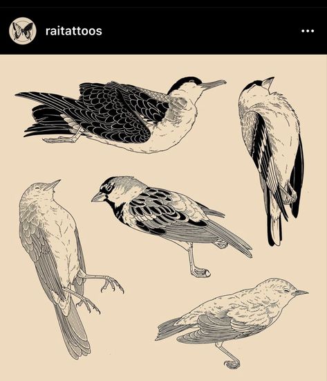 Dumbest Tattoos, Dead Bird, Stick Tattoo, Tattoo Bird, Bird Tattoos, Plant Tattoo, Notebook Art, Tattoo Apprentice, Traditional Tattoo Art