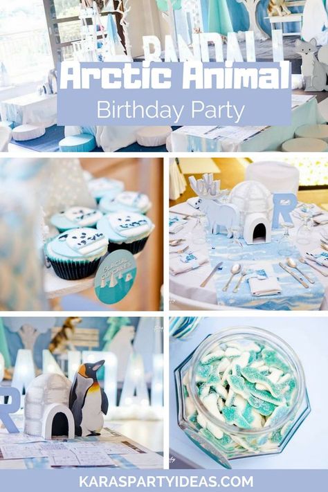 Arctic Themed Birthday Party, Arctic Birthday Party Decorations, Polar Bear Themed Birthday Party, Alaska Birthday Party, Arctic Animals Party, Arctic Party Decorations, Antarctica Party Theme, Artic Animal Party, Polar Birthday Party