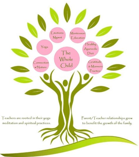 The educators today prefer talking the holistic approach to teach students as it helps in overall development of children and enhances the connectedness of mind, body and spirit. When the holistic approach is taken, attention is paid to personal, physical, emotional, spiritual and social wellbeing as well as cognitive aspects of learning. So, this type of learning extends well beyond academic learning into fields of emotional and social wellbeing. Documentation Ideas, Educational Leader, Parent Teacher Relationship, Learning Framework, Holistic Education, Values Education, Early Childhood Development, Childhood Development, Holistic Living