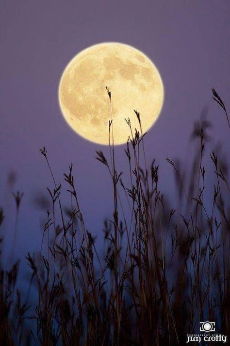 Full Moon Photography, Hunters Moon, Artsy Background, The Tao, Tao Te Ching, Look At The Moon, Moon Painting, Moon Photography, Lao Tzu