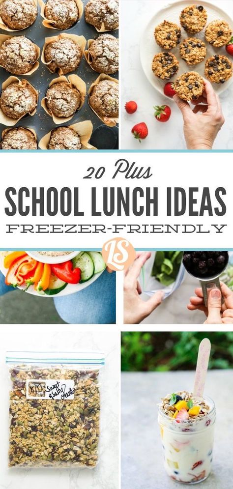 School Lunch Ideas Make Ahead, Freezer Meals For School Lunches, Frozen School Lunch Ideas, Make Ahead School Lunch Ideas, Back To School Freezer Meals, Freezer Kids Lunches, School Lunch Freezer Prep, Freezable School Lunches, Freezer Friendly Lunchbox Ideas