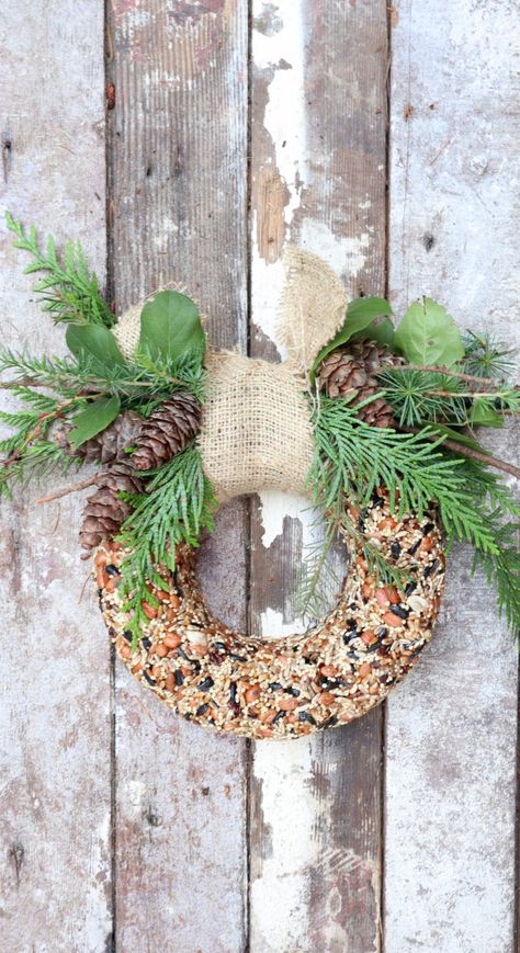 DIY bird feeder wreath - My Sweet Savannah Bird Seed Wreath Recipe, Birdseed Wreath, Food Wreath, Winter Bird Feeders, Diy Grapevine Wreath, Pine Cone Bird Feeder, Bird Feeder Craft, Bird Seed Ornaments, Bird Wreath