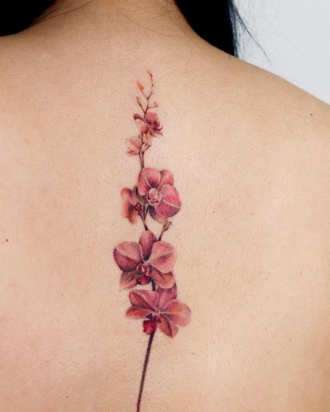 Beautiful Flower Tattoos For Women, Orchids Tattoo, Flower Tattoos For Women, Orchid Tattoo, Tattoo Flowers, Beautiful Flower Tattoos, Rose Lily, Plum Flowers, Peony Rose