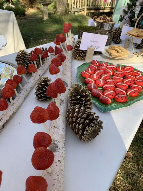 Earthy Birthday Party Theme, Forest Birthday Party Food, Mushroom Strawberries, Mushroom Garden Party, Mushroom Themed First Birthday, Mushroom Bachelorette Party, Mushroom Party Favors, Mushroom First Birthday Party, 1st Birthday Mushroom Theme