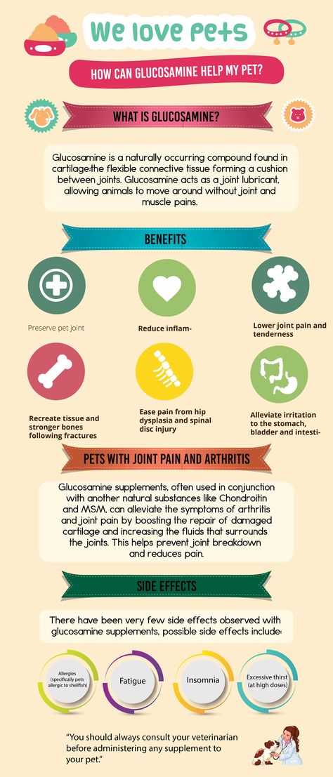 Glucosamine Benefits for Dogs Glucosamine Benefits, Minerals Food, Mineral Food, Nutrition Supplements, Dog Nutrition, Health Nutrition, Kitty Kitty, Vitamin Supplements, Bone Health