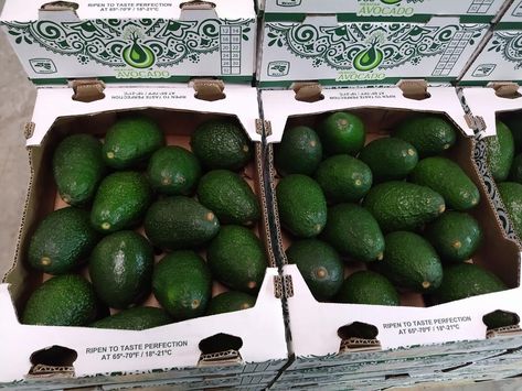 High quality avocados from México to you! Avocados From Mexico, Avocado, High Quality