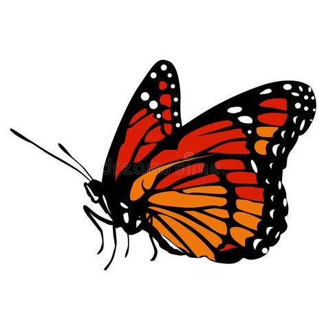 Colored icon beautiful black and red orange butterfly on a white royalty free illustration Yellow Butterfly Drawing, Orange Butterfly, Butterfly Drawing, Yellow Butterfly, Free Illustration, Free Illustrations, Black Canvas, Background Patterns, Art Ideas