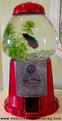 Twice Remembered: More Gumball Machine Makeovers! Thrifty Decor Chick, Cool Fish, Gumball Machine, Animal Projects, Fish Bowl, Crafty Diy, Art And Craft, Diy Stuffed Animals, Kids' Room