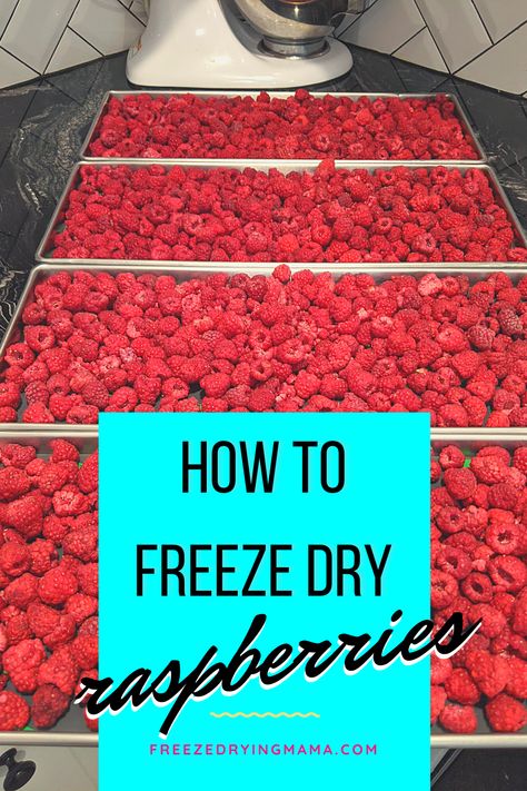 Dry Raspberries, Refreshing Punch, Hunting Food, Raspberry Freezer Jam, Raspberry Powder, Freeze Dried Food Storage, Freeze Dried Vegetables, Harvest Right Freeze Dryer, Best Freeze Dried Food