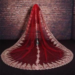 Dupatta Ideas, Long Veils Bridal, Red Veil, Wedding Veil Vintage, Black Wedding Gowns, Long Veil Wedding, Red Bridal Dress, Bridal Dupatta, Indian Bride Outfits