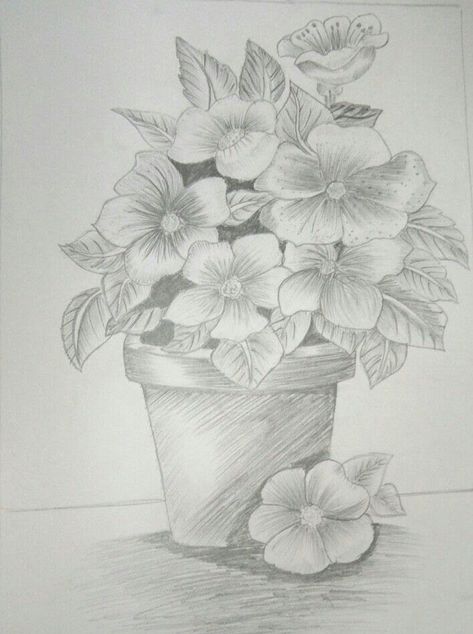 Flower Pot Sketch Drawing, Simple Flower Pot Drawing, Pot With Flowers Drawing, Flower Pot Drawing Painting, Flower Pot Drawing Pencil, Flower Pot Sketch, Drawings Coloring Book, Pot Sketch, Flower Pot Drawing