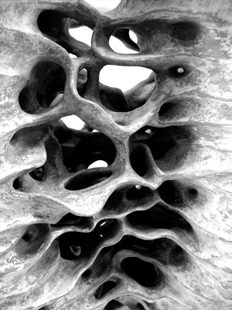 Organic Forms In Nature, Layers In Nature, Texture Concept Art, Weird Textures, Texture In Nature, Implied Texture, Textures Reference, Bone Texture, Mandala Effect