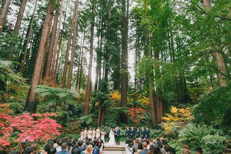 Nature: Nestldown, Los Gatos Wedding Redwoods, Castle Wedding Venues, Nestldown Wedding, Palm Springs Resorts, Santa Lucia Preserve, Wedding Castle, California Pictures, Santa Cruz Mountains, Best Barns