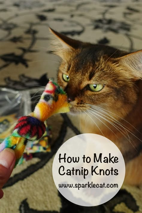 How To Make Catnip Toys, Fleece Catnip Toys Diy, Cat Toys To Sew, Felt Catnip Toys Diy, Diy Catnip Toys No Sew, Fleece Cat Toys Diy, Cat Kicker Toy Diy, Crochet Catnip Toys Free Pattern, Catnip Knots