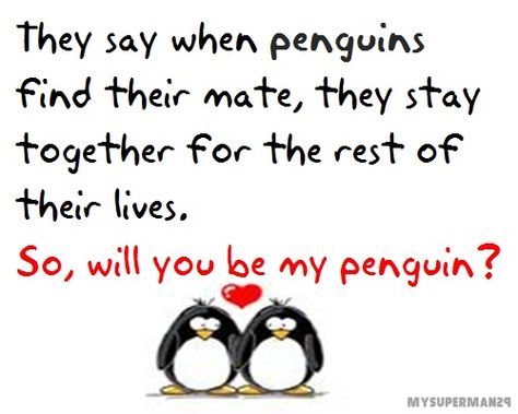 We've been called worse than penguins! Is this what I should say to everybody that says I need to find another husband - thanks, but I'm a penguin?  :) Forever Honey, Penguin Quotes, Two Penguins, Penguin Pictures, Penguin Love, Framed Quotes, Marriage Life, Love My Husband, Cute Penguins