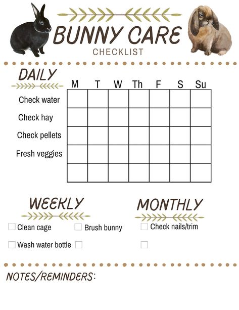 Bunny Rabbit Care Schedule Checklist Daily Weekly & Monthly - Etsy Canada Free Range Rabbits Indoor, Rabbit Care Checklist, Cute Guenia Pigs, Bunny Schedule, Lion Head Bunny Care, Bunny Care Checklist, Rabbit Schedule, Bunny Set Up Indoor Diy, Bunny House Indoor Diy