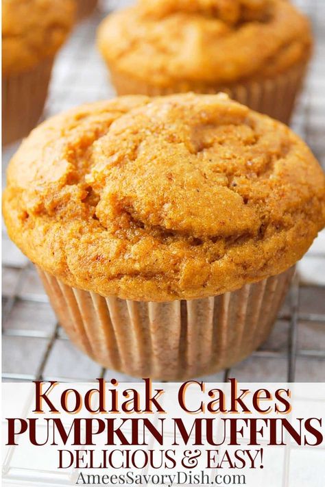 Pumpkin Waffles With Kodiak Cakes, Pancake Mix Pumpkin Muffins, Healthy High Protein Pumpkin Muffins, Macro Pumpkin Muffins, Pound Dropper Pumpkin Muffins, Pumpkin Chocolate Chip Kodiak Muffins, Pumpkin Chocolate Chip Protein Muffins, Weight Watcher Pumpkin Cookies, Pancake Muffins Kodiak Cakes