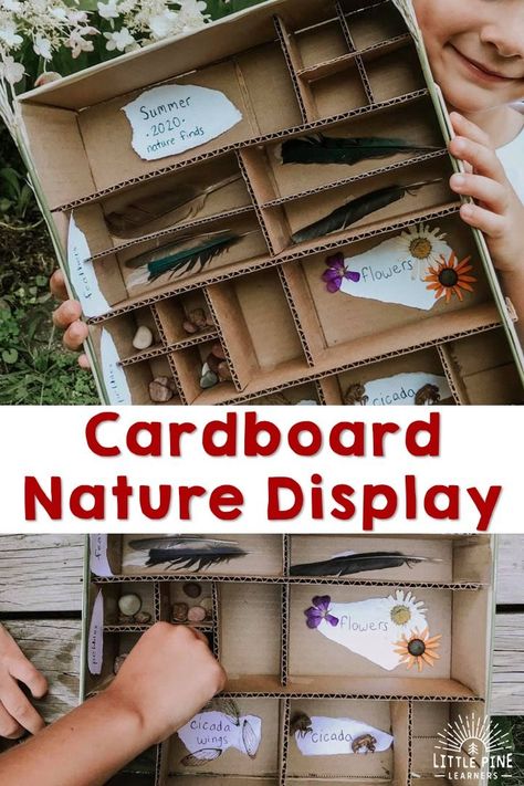 Try making this DIY cardboard display shelf to showcase all of your beautiful nature finds. Children will love looking for pieces of nature to put in the box and enjoy organizing and looking at their collection. Boy Diy Crafts, Photo Display Ideas, Nature Display, Cardboard Box Diy, Cardboard Ideas, Nature Lessons, Diy Nature, Nature School, Cardboard Display