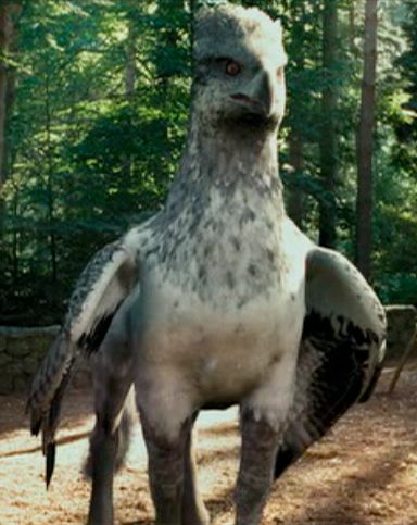 Buckbeak (Harry Potter and the Prisoner of Azkaban) Buckbeak Harry Potter, Harry Potter Creatures, Harry Potter Wiki, The Prisoner Of Azkaban, Magical Creature, Mythical Animal, Prisoner Of Azkaban, Harry Potter Books, Wizarding World Of Harry Potter