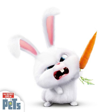 Snowball Rabbit, Pets Movie, Bunny Wallpaper, A Hat In Time, Beautiful Sea Creatures, Secret Life Of Pets, Bunny Pictures, Secret Life, Animal Tattoos