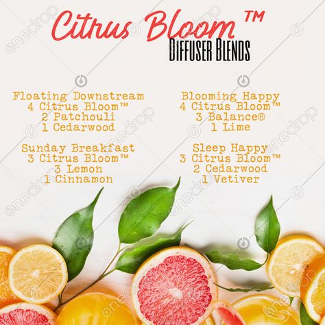 Citrus Bloom Diffuser Blends, Smell Good Naturally, Doterra Diffuser, Doterra Diffuser Blends, Essential Oils Young Living, Doterra Essential Oils Recipes, Product Highlight, Doterra Wellness Advocate, Essential Oil Diffuser Recipes