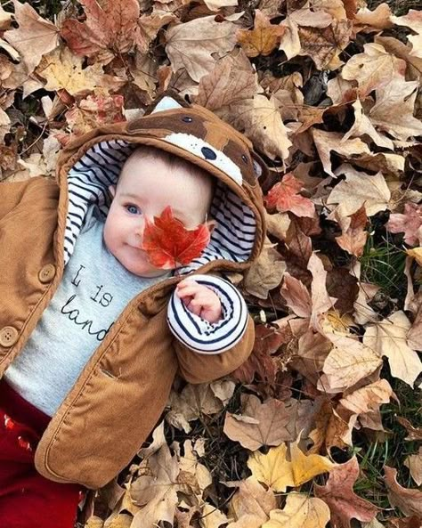 Holiday Baby Pictures, Fall Baby Photos, Baby Holiday Photos, Fall Baby Pictures, Photo Bb, November Baby, Photo Halloween, Baby Milestones Pictures, Monthly Baby Pictures