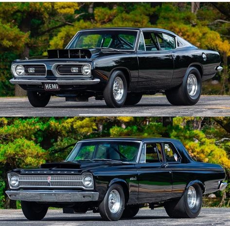 Plymouth Belvedere, Automobile Engineering, Mopar Cars, Plymouth Barracuda, Mopar Muscle, American Muscle Cars, Plymouth, Mopar, Muscle Cars