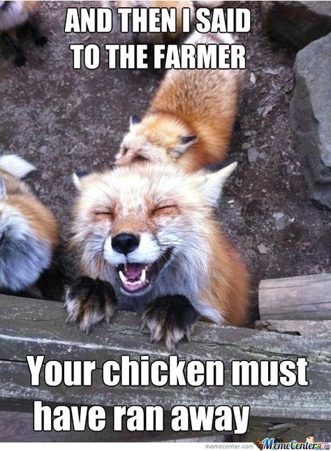 Think Outside The Fox: Collection Of Fox Memes (20 Images) - I Can Has Cheezburger? Fox Memes, Fuchs Baby, Happy Memes, Happy Fox, Cute Fox, Cane Corso, Cute Creatures, Sweet Animals, Animal Planet