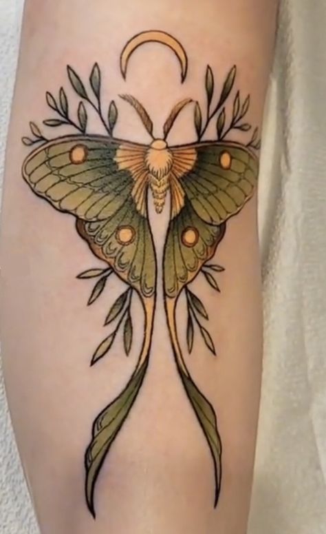 Lunar Moth Tattoo, Tattoo Papillon, Traditional Moth Tattoo, A Butterfly Tattoo, Luna Moth Tattoo, Moth Tattoo Design, Moth Tattoo, Luna Moth, Tattoo Design Drawings