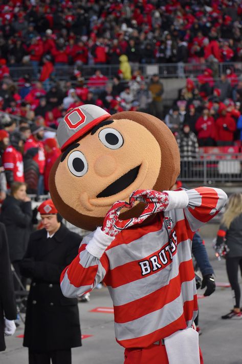 Brutus The Buckeye, Ohio State University Aesthetic, Ohio State Mascot, Ohio State College, Ohio State Logo, Ohio State Wallpaper, Brutus Buckeye, Osu Buckeyes Football, Ohio Buckeyes