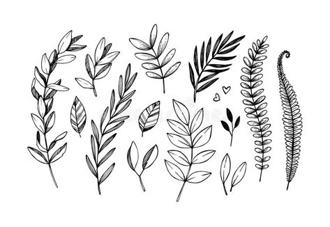 Hand drawn vector illustrations. Botanical branches of eucalyptus and fern. Flor , #sponsored, #branches, #Botanical, #fern, #eucalyptus, #drawn #ad Botanical Tattoo Design, Fern Tattoo, Tattoo Filler, Elements Tattoo, Handpoke Tattoo, Vine Tattoos, Floral Tattoo Sleeve, Plant Tattoo, Botanical Tattoo