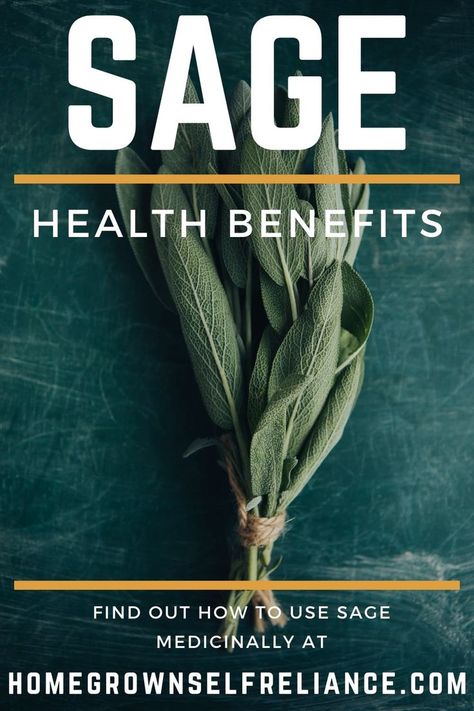 Uses For Sage, Sage Health Benefits, How To Use Sage, Sage Benefits, Sage Uses, Herbs For Sleep, Sage Recipes, Sage Herb, Sage Tea