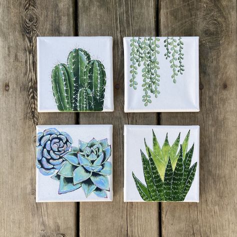 Acrylic painted succulents on stretched canvas Painted Plants On Canvas, Cactus Canvas Art, Acrylic Paint Plants, Small Canvas Wall Art, 4 Square Painting Ideas, Painting Ideas For Square Canvas, Paintings Of Succulents, 4 Square Canvas Painting Ideas, Small Square Canvas Art