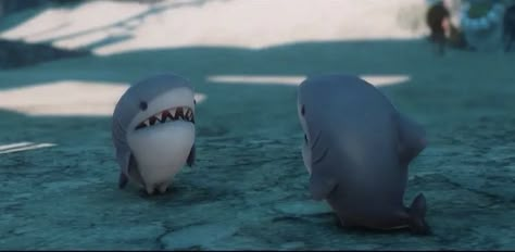 Blåhaj Pfp, Major General Shark, Weird Sharks, Silly Shark, Silly Sharks, Shark Pictures, Toro Inoue, Cute Shark, Ocean Pictures